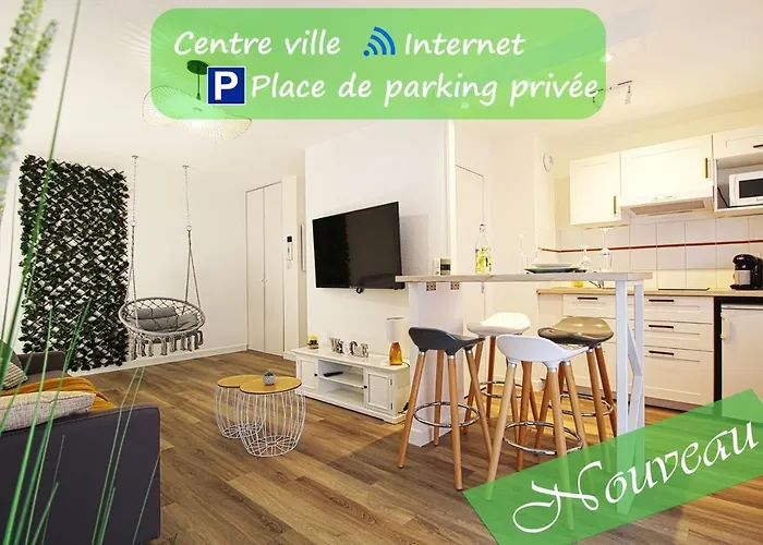 L'evasion Lourdaise Terrasse Centre Parking Wifi *