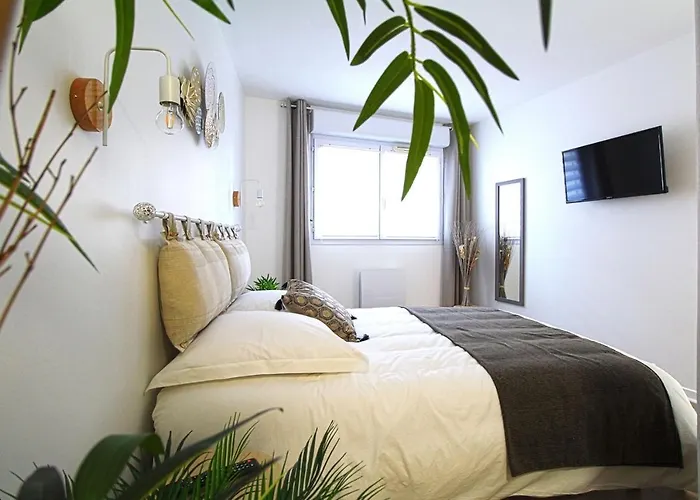 L'evasion Lourdaise Terrasse Centre Parking Wifi 卢德