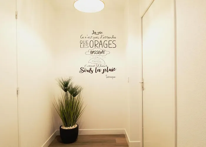 L'evasion Lourdaise Terrasse Centre Parking Wifi 卢德